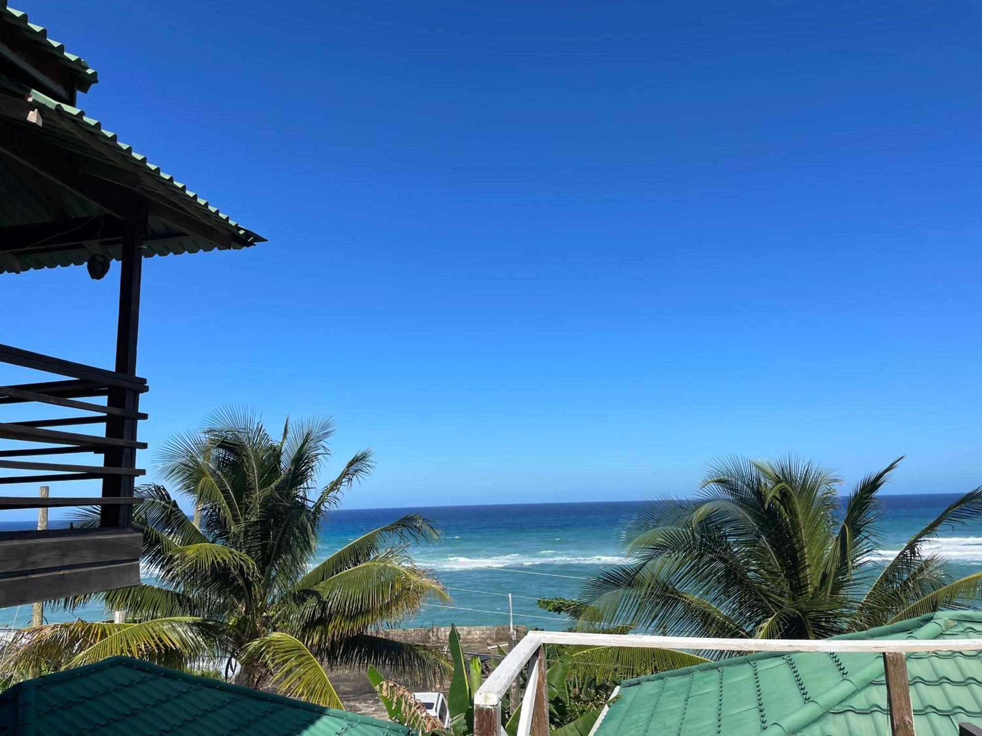 Rasta - Ocean View Bungalows Port Antonio