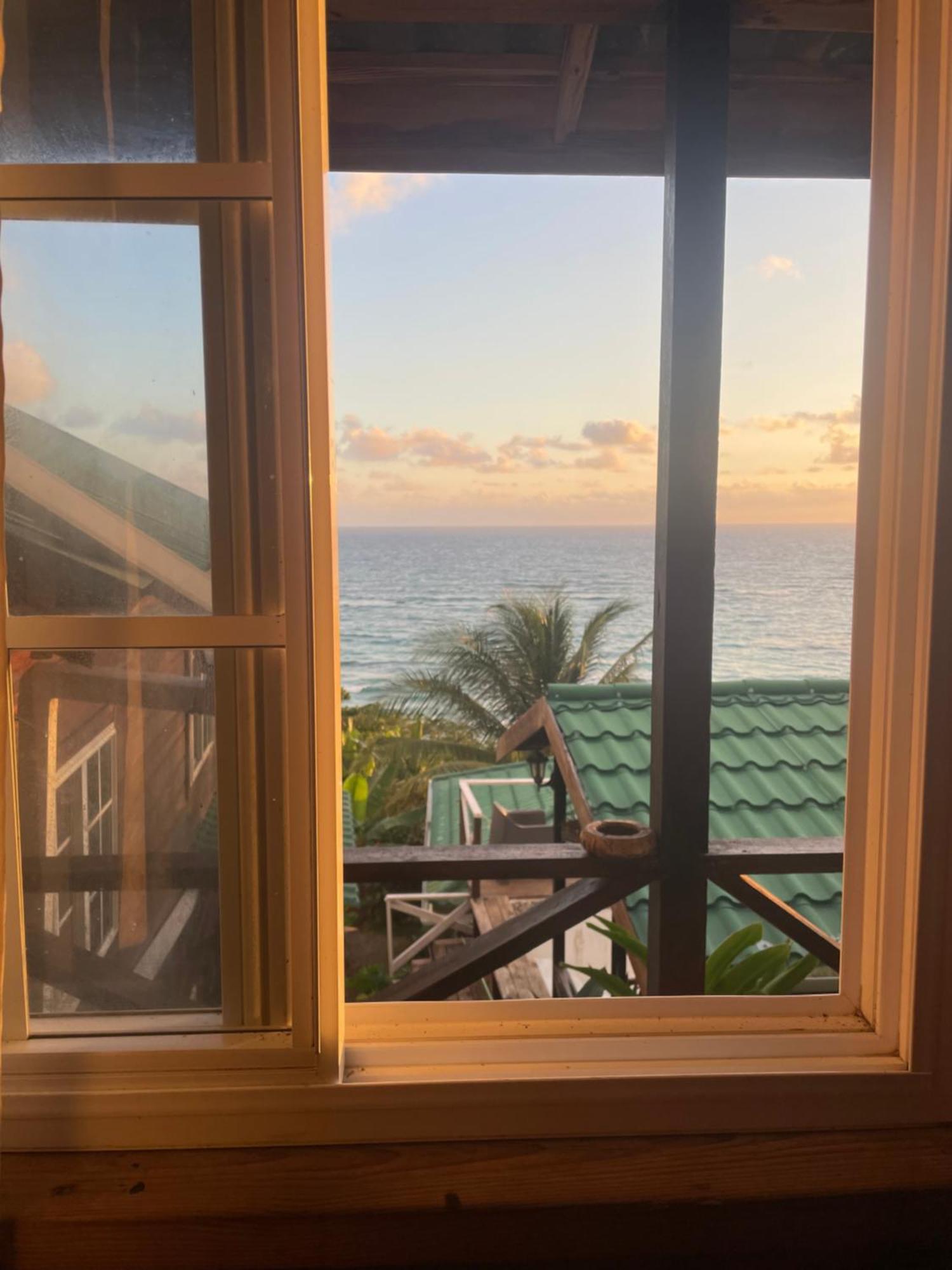 Guest house Rasta - Ocean View Bungalows Port Antonio
