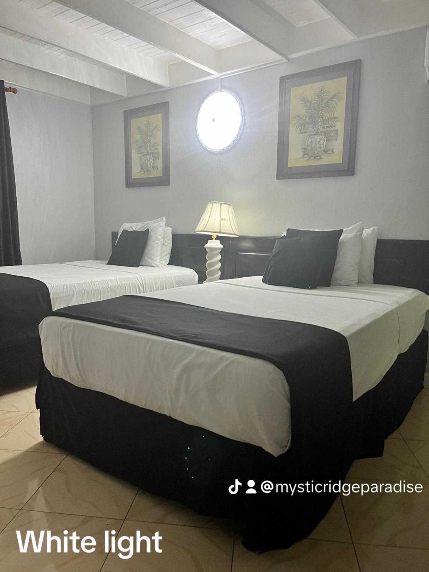 Mystic Ridge Paradise Apartment *