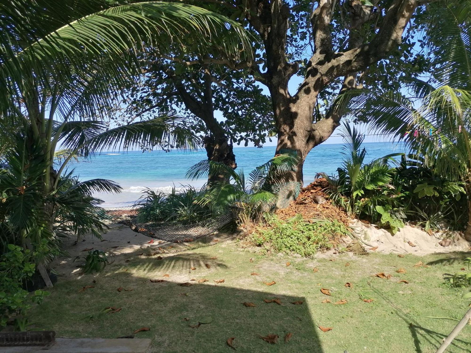 Frühstückspension Brian's House Port Antonio
