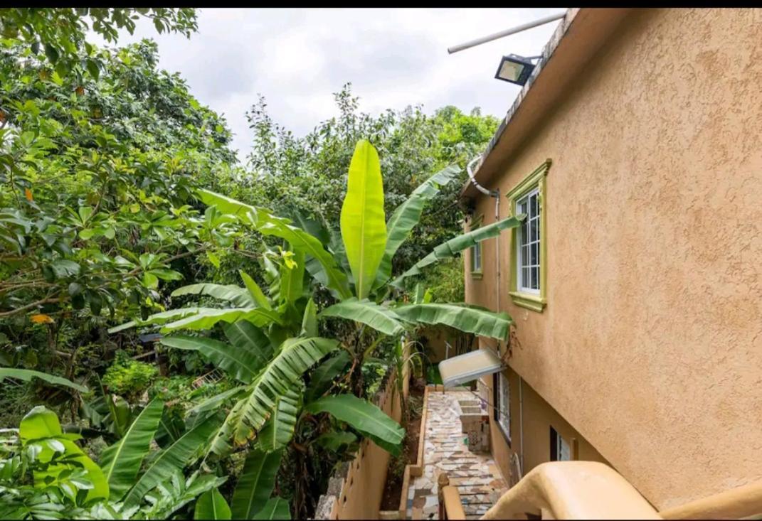 Gasthof Cambridge Mi Casa Ur Casa With Pool And Access 3*