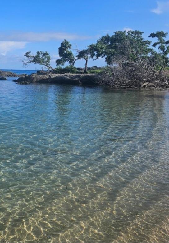 Blue Water Lucea