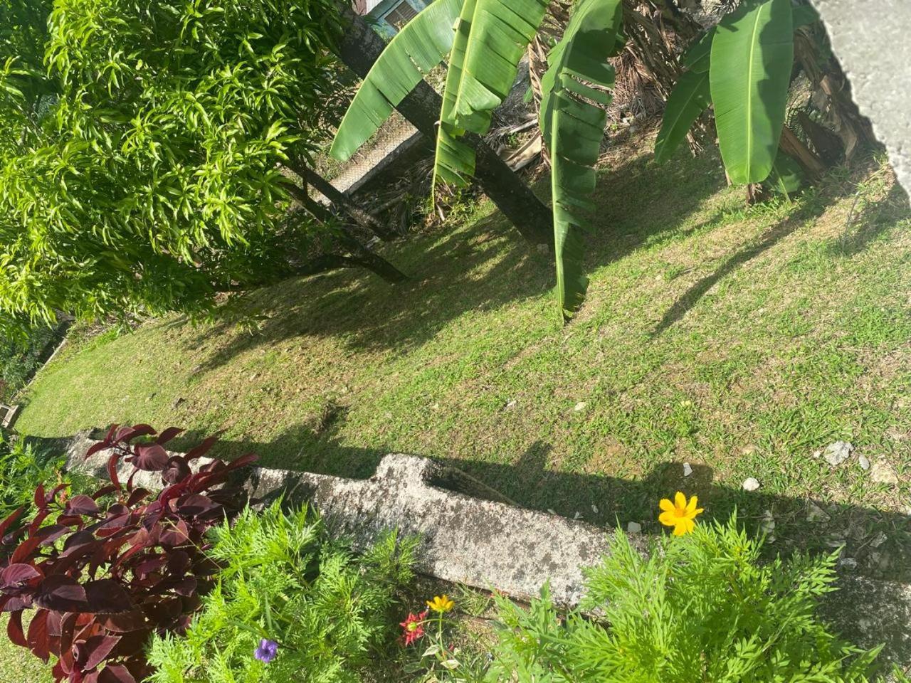 Angelaspalace Guest house Port Antonio
