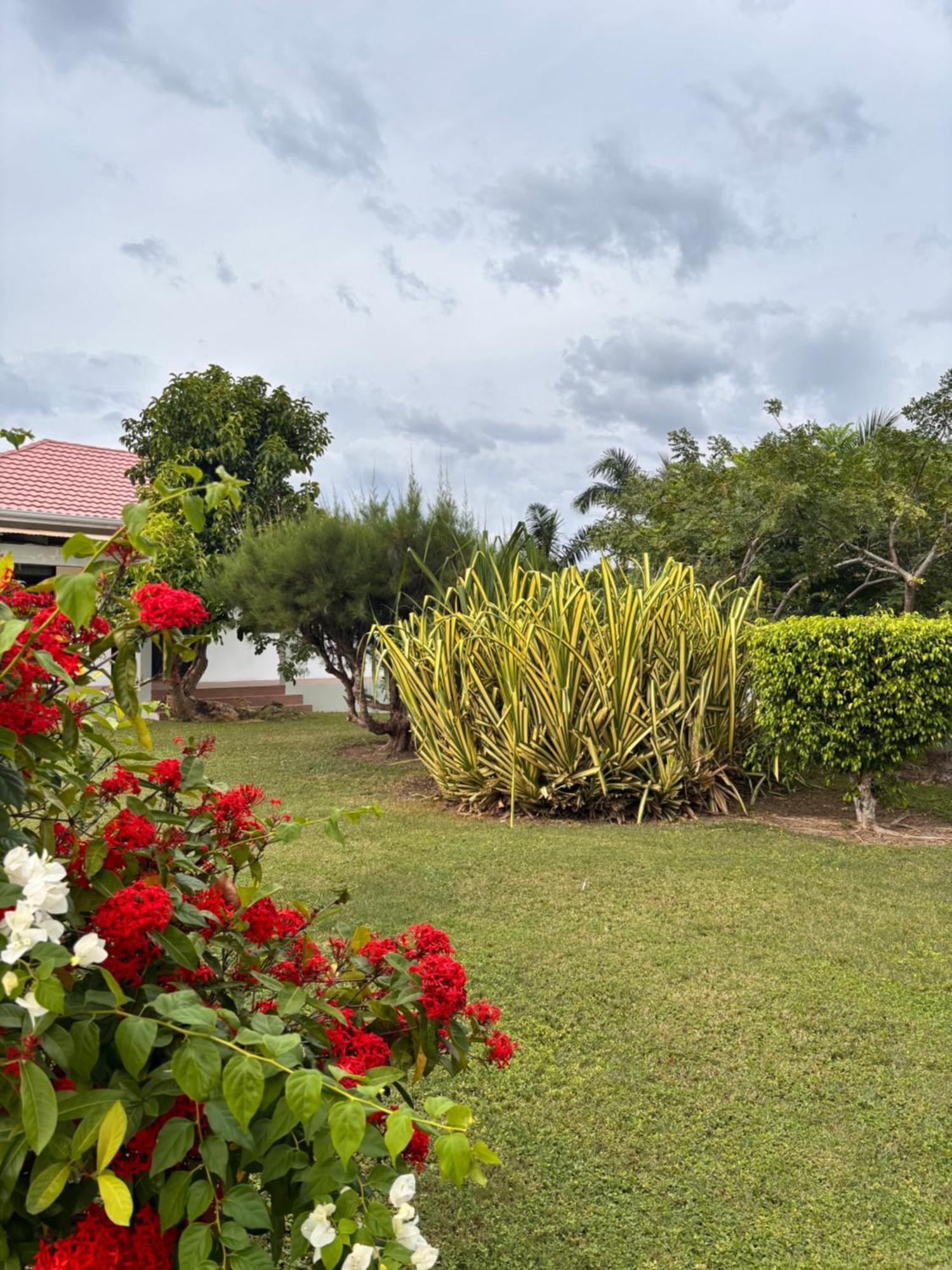 Beachscape At Ethlyn By The Sea Villa Black River