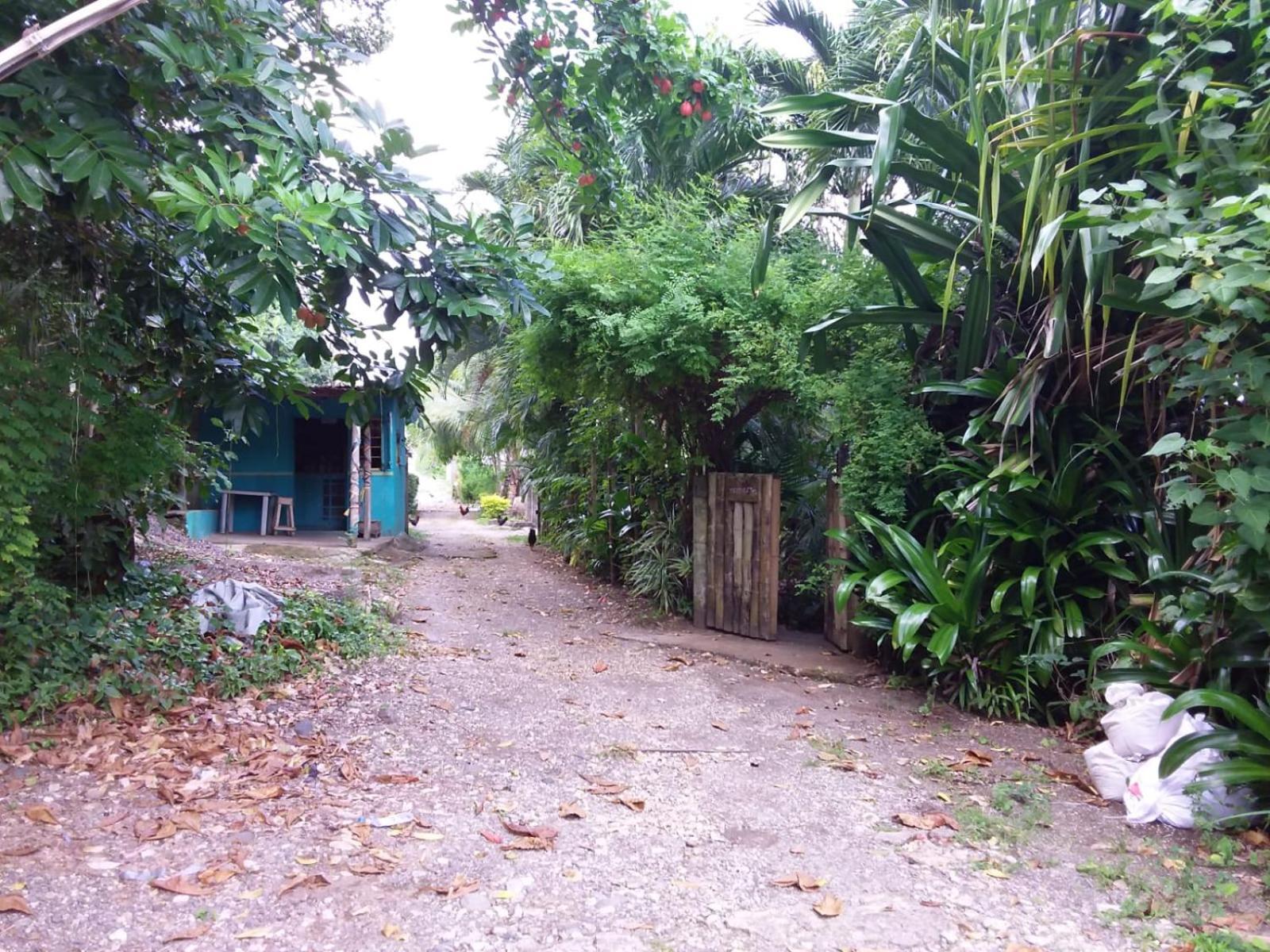 Brian's House Frühstückspension Port Antonio