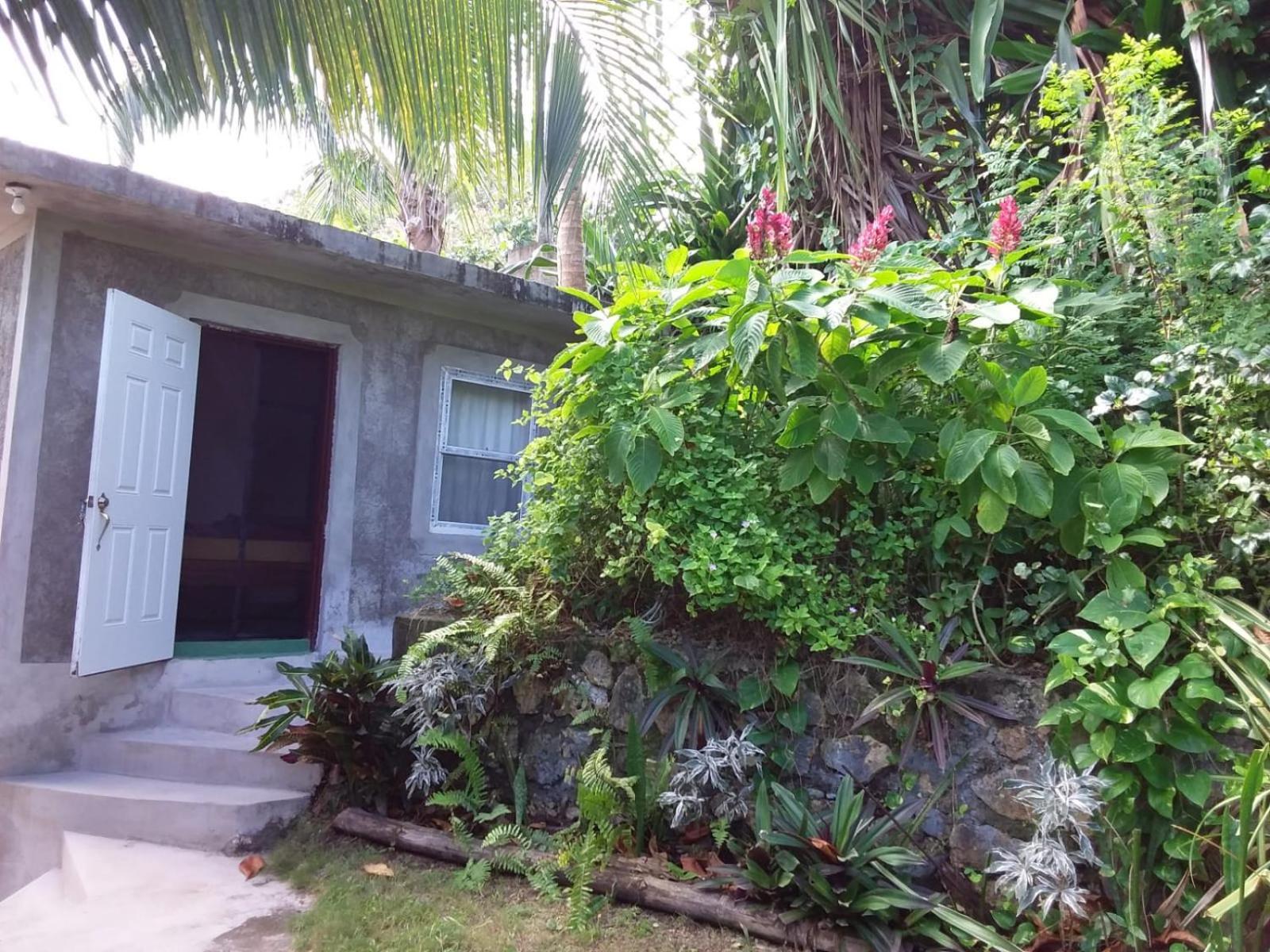 Brian's House Frühstückspension Port Antonio