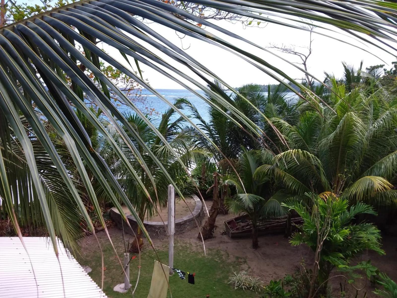 Brian's House Frühstückspension Port Antonio