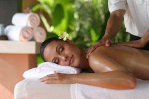 Eden Gardens Wellness & Resort 4*