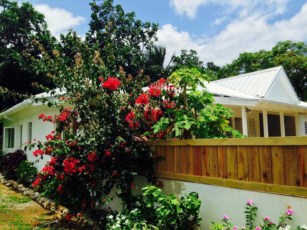 Bed & Breakfast Search-me-heart Port Antonio