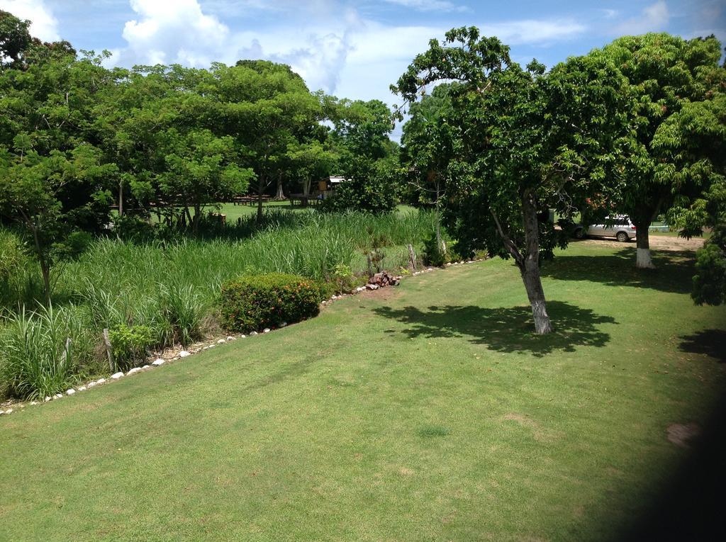 Chillax On Our Farm Chácara Ocho Rios