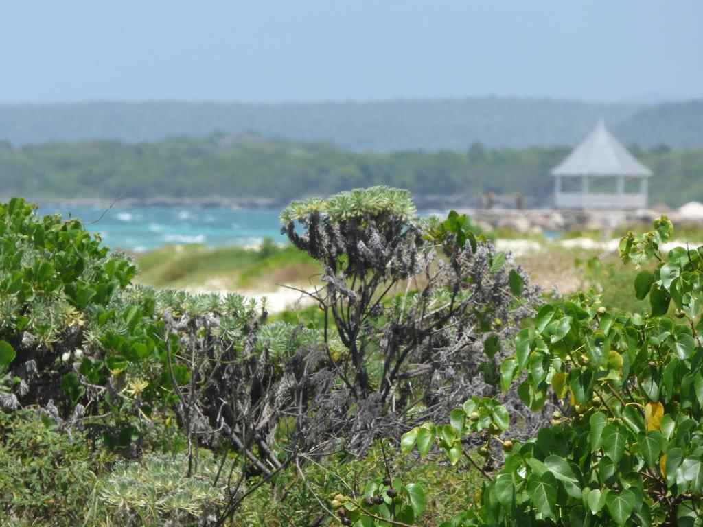 Beach Way Guest house Duncans