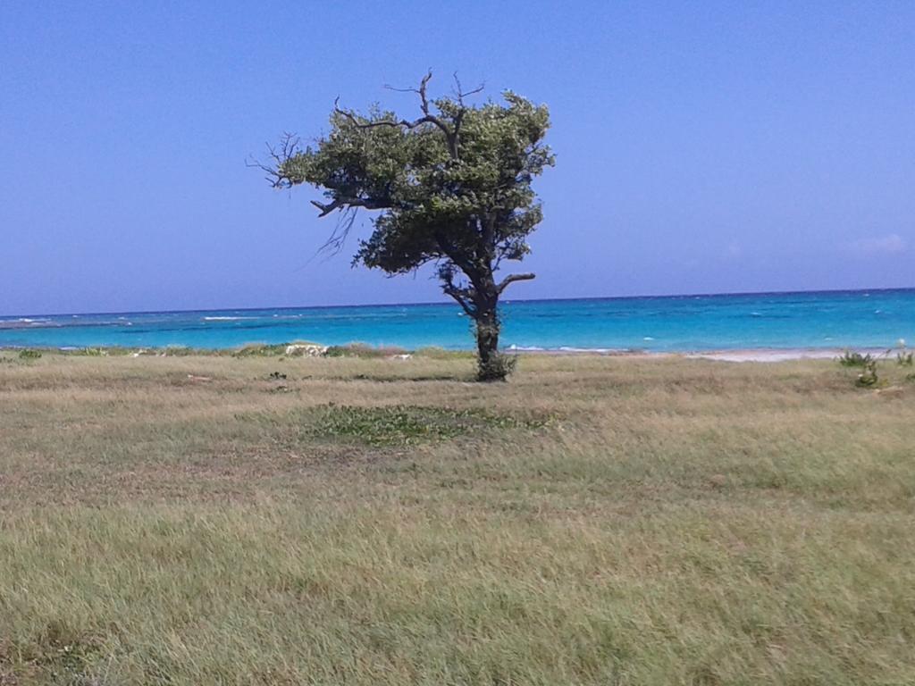 Guest house Beach Way Duncans