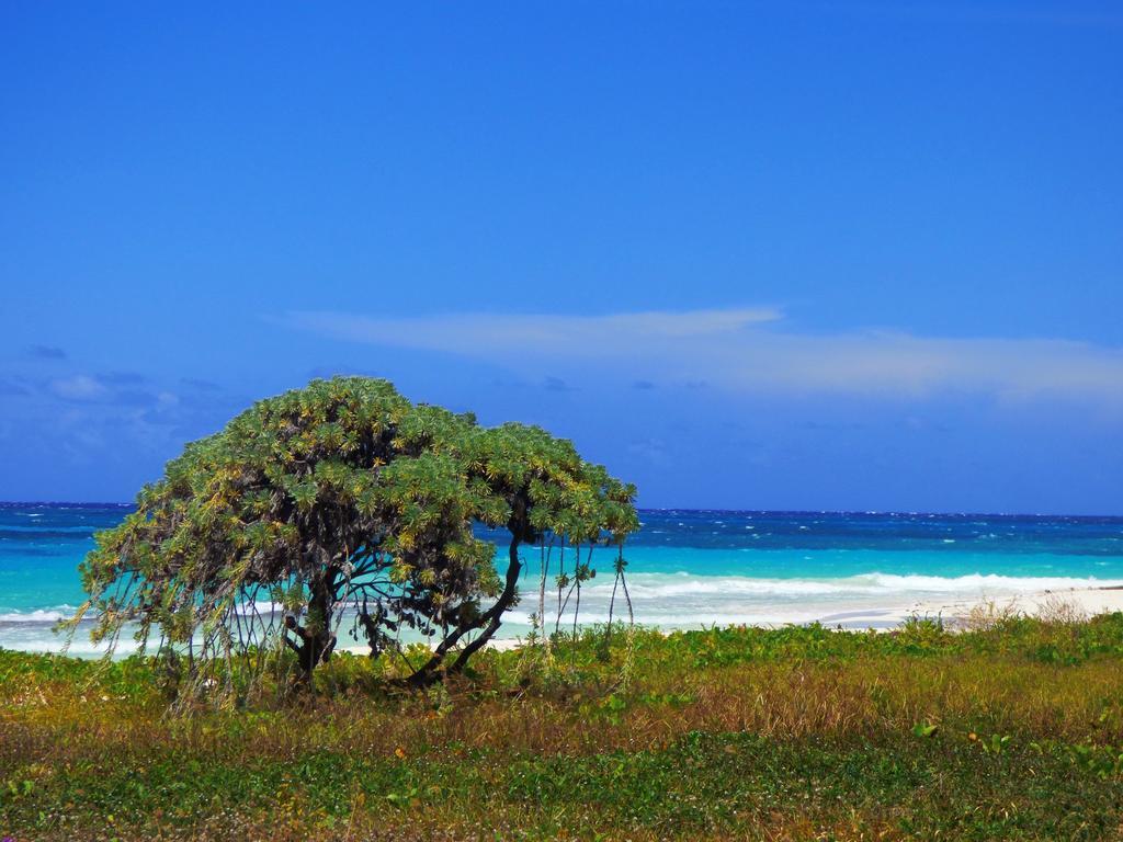 Beach Way Guest house