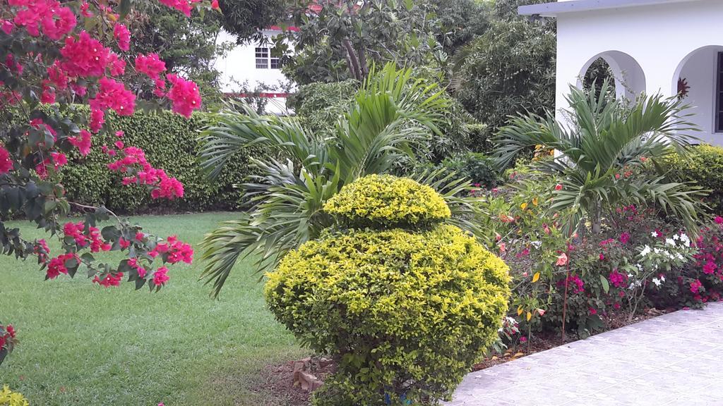 Lorenton Hideaway Guest house *