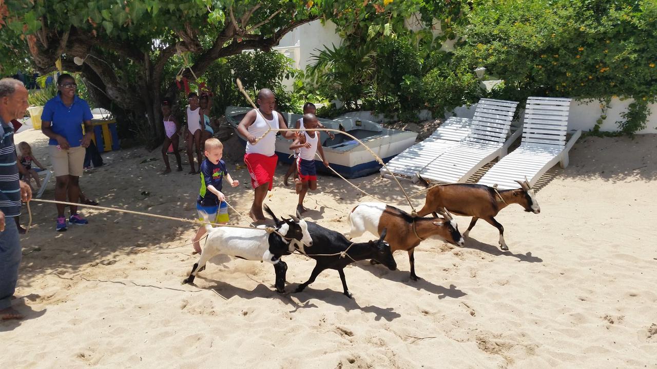 Resort Franklyn D &