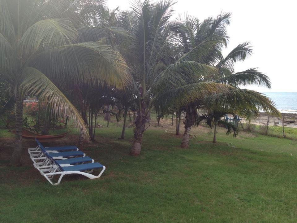 Marblue Apartment Treasure Beach