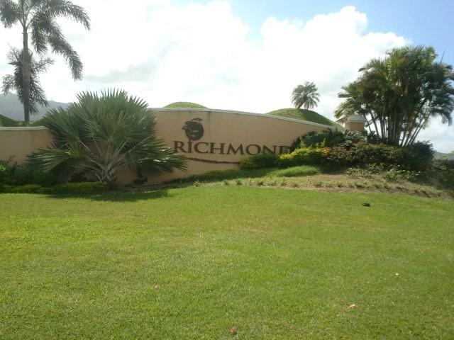 Under The Palms *