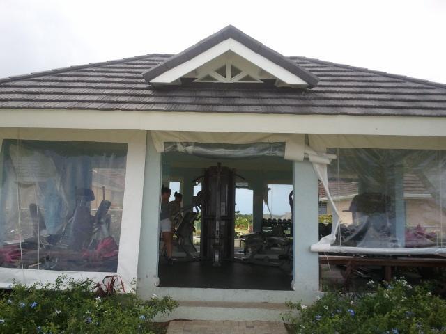Under The Palms *