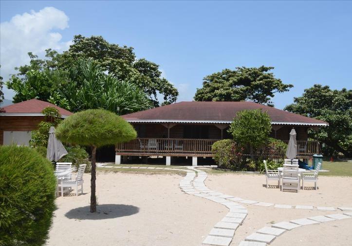 Villa Under The Palms Ocho Rios