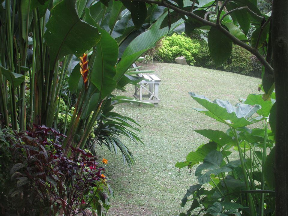 Rafjam Blue Mountain Bed & Breakfast