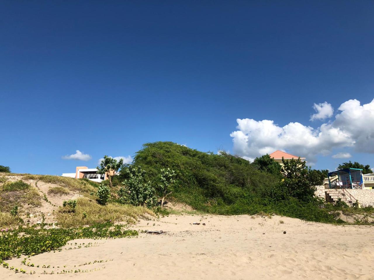 Casa de férias Turtles Nest