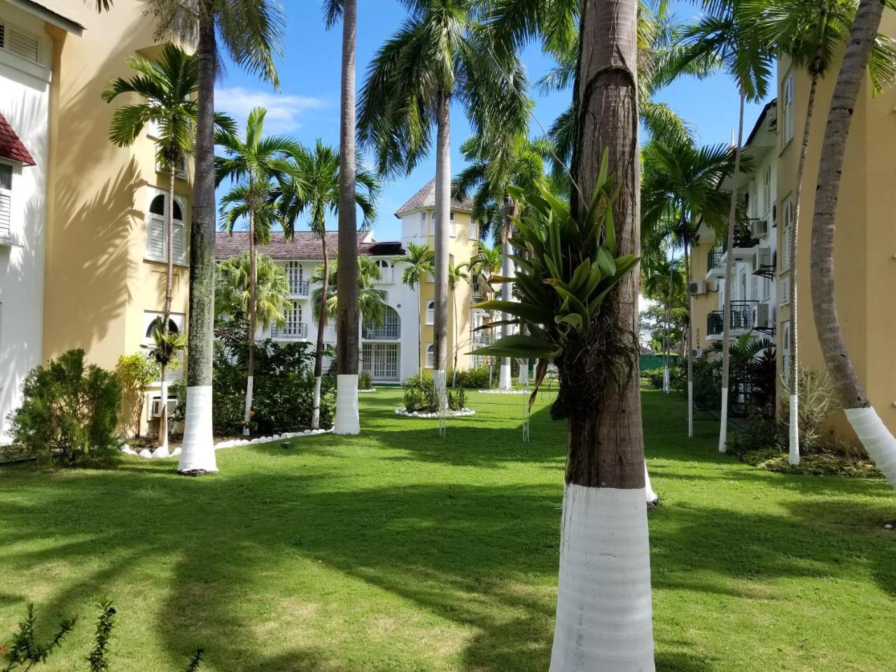 Aparthotel Oasis At Sandcastles Adults Only Luxury King Suite Ocho Rios