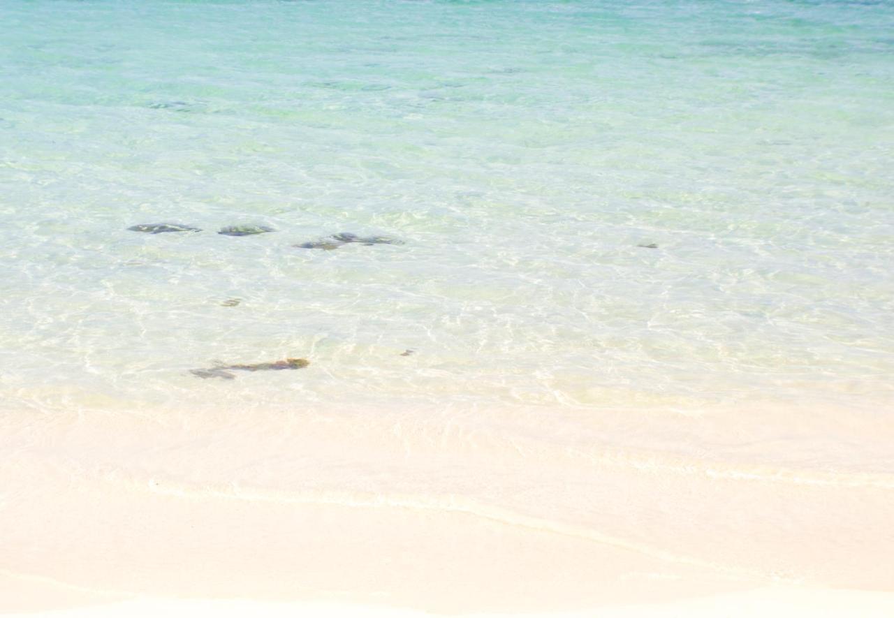 Oasis At Sandcastles Adults Only Luxury King Suite 3* Ocho Rios