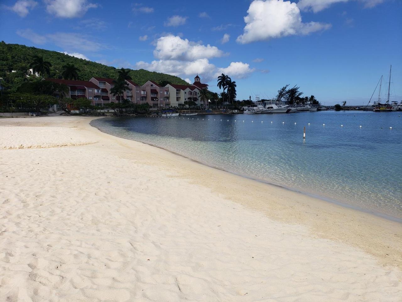 Oasis At Sandcastles Adults Only Luxury King Suite Ocho Rios