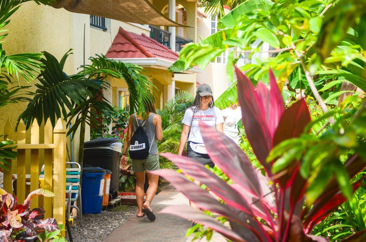 Reggae Ocho Rios
