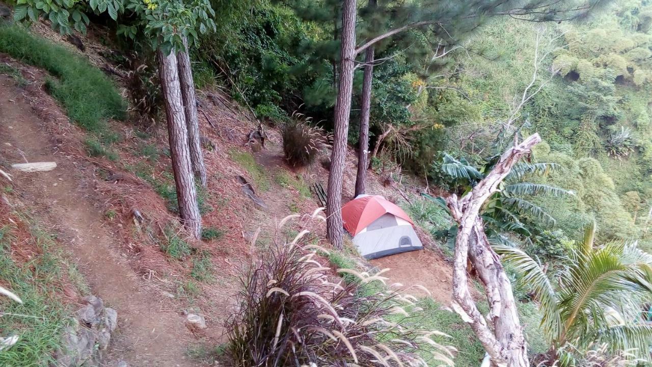 Blue Mountain Wilderness Retreat Port Antonio