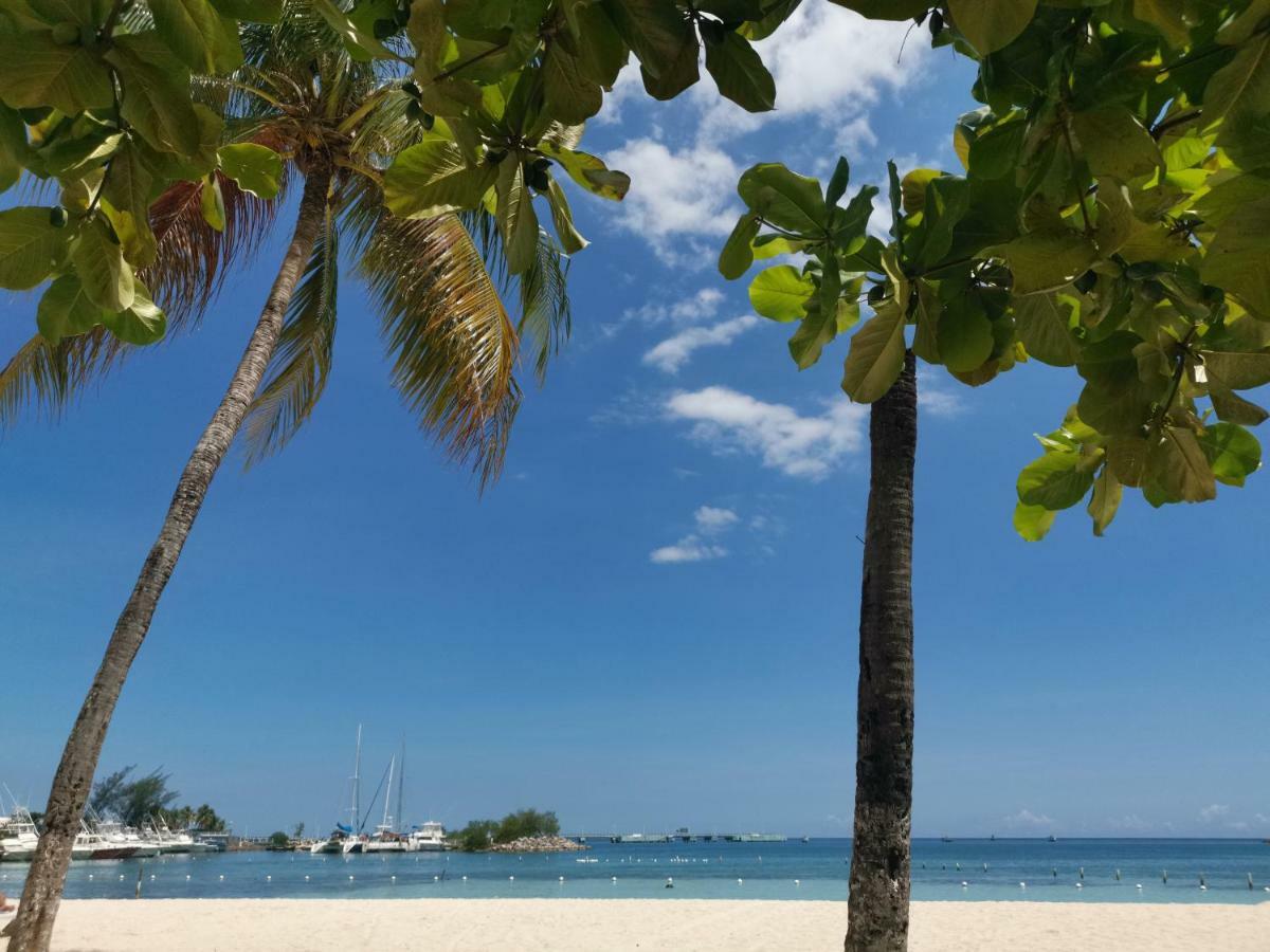 Oasis At Sandcastles Adults Only Luxury King Suite Ocho Rios