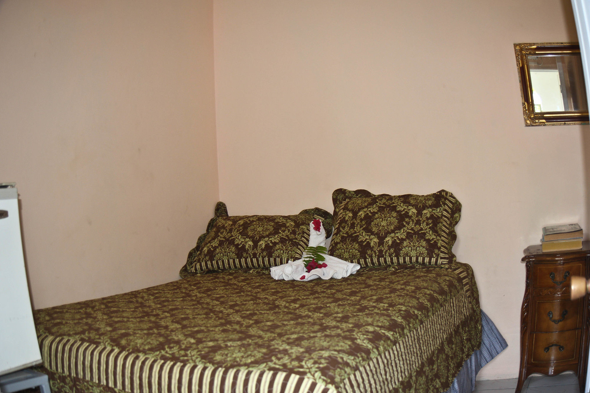 Executive Shaw Park Hotel 2*