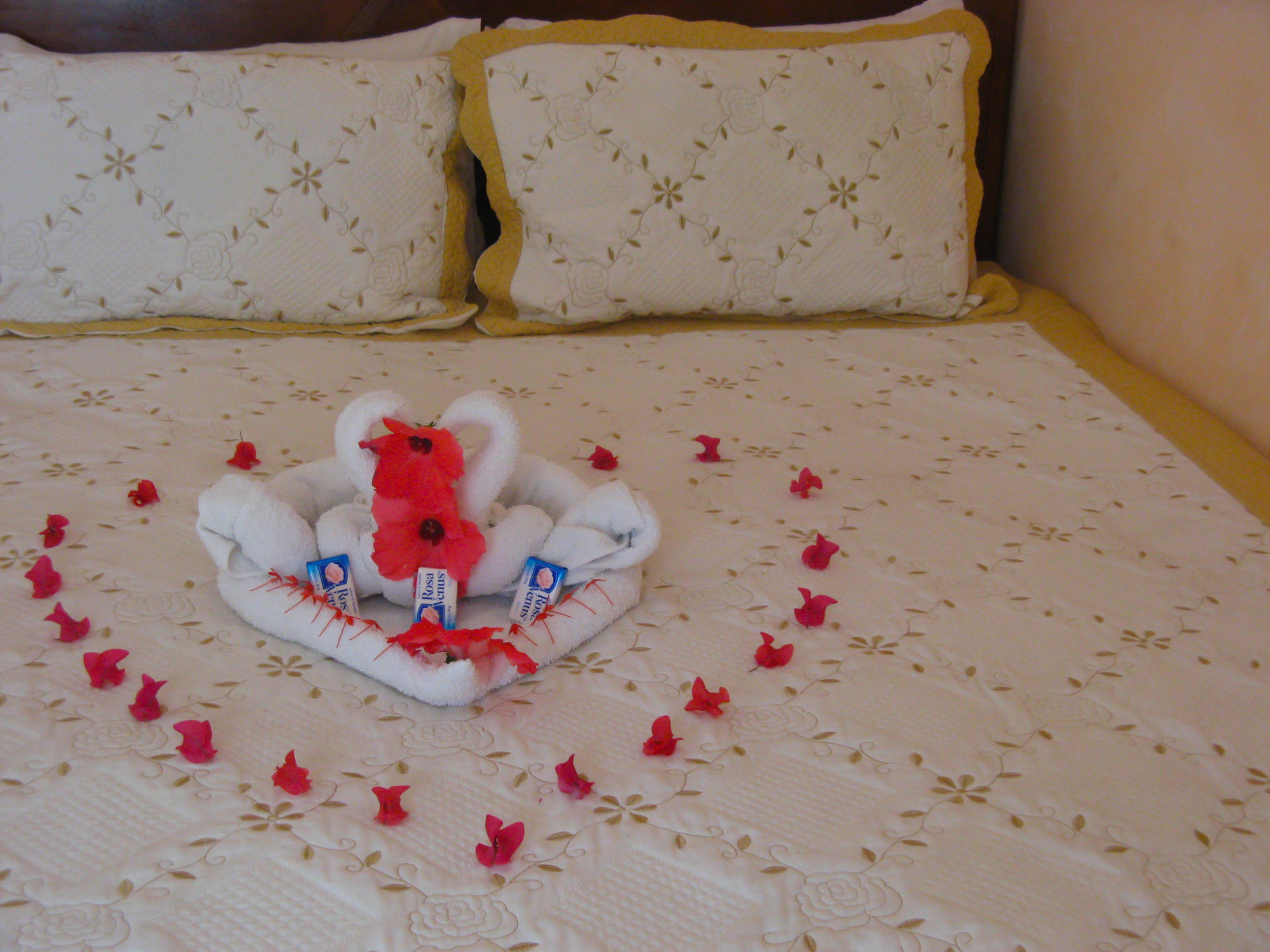 Executive Shaw Park Hotel 2*