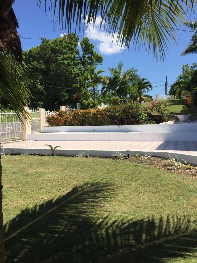 Guest house Goldenview