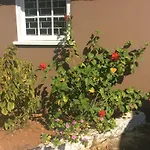 June Plum Bed And Breakfast
