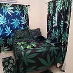 Holiday Rooms In St Thomas Jamaica