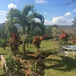 June Plum Bed And Breakfast