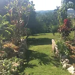 June Plum Bed And Breakfast