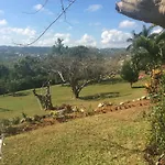 June Plum Bed And Breakfast
