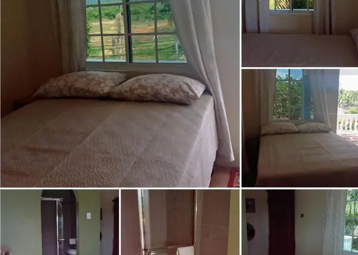 Pet-Friendly 1Br With Stunning Views