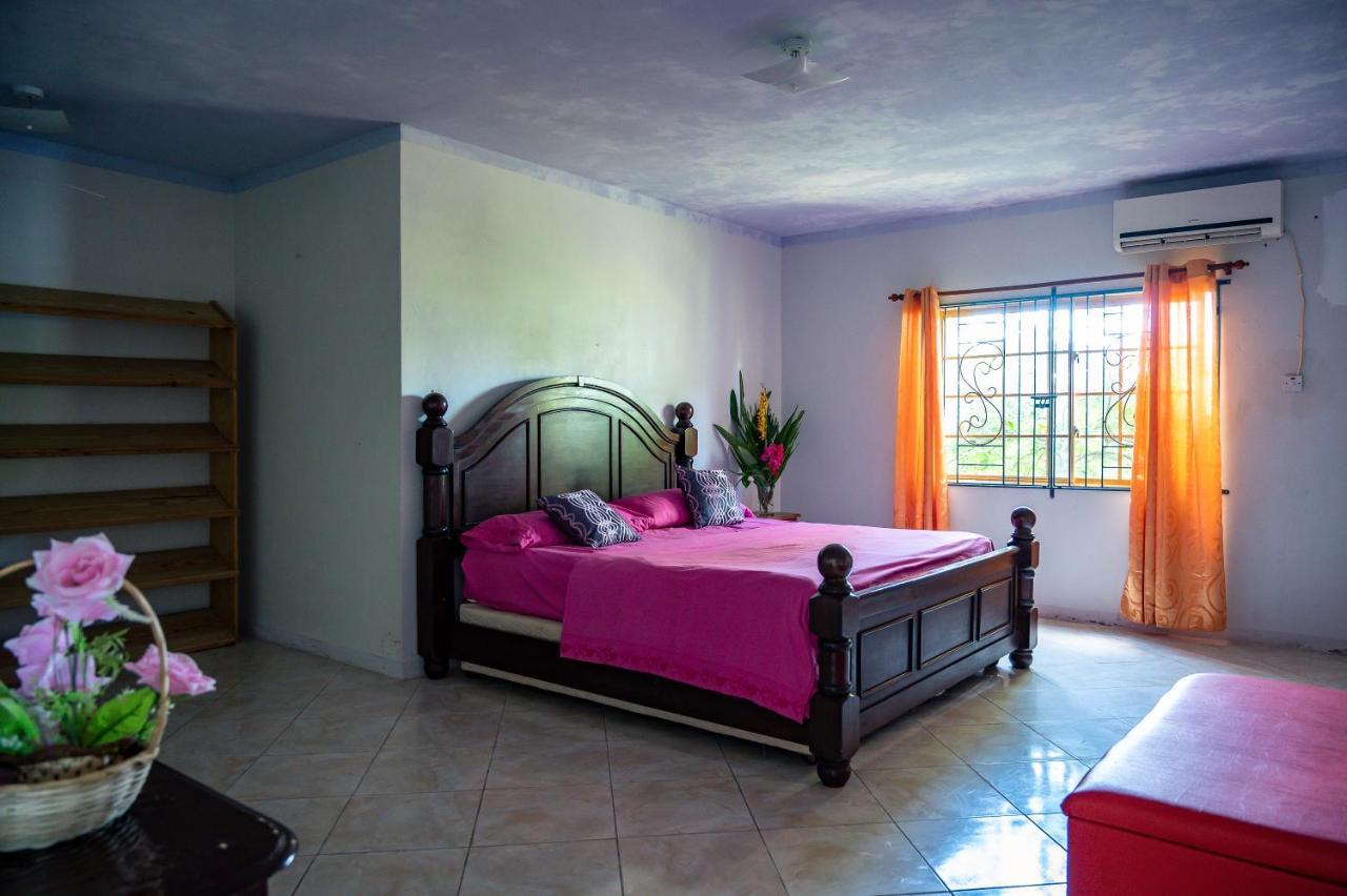 Burg Ann's Guest house Montego Bay