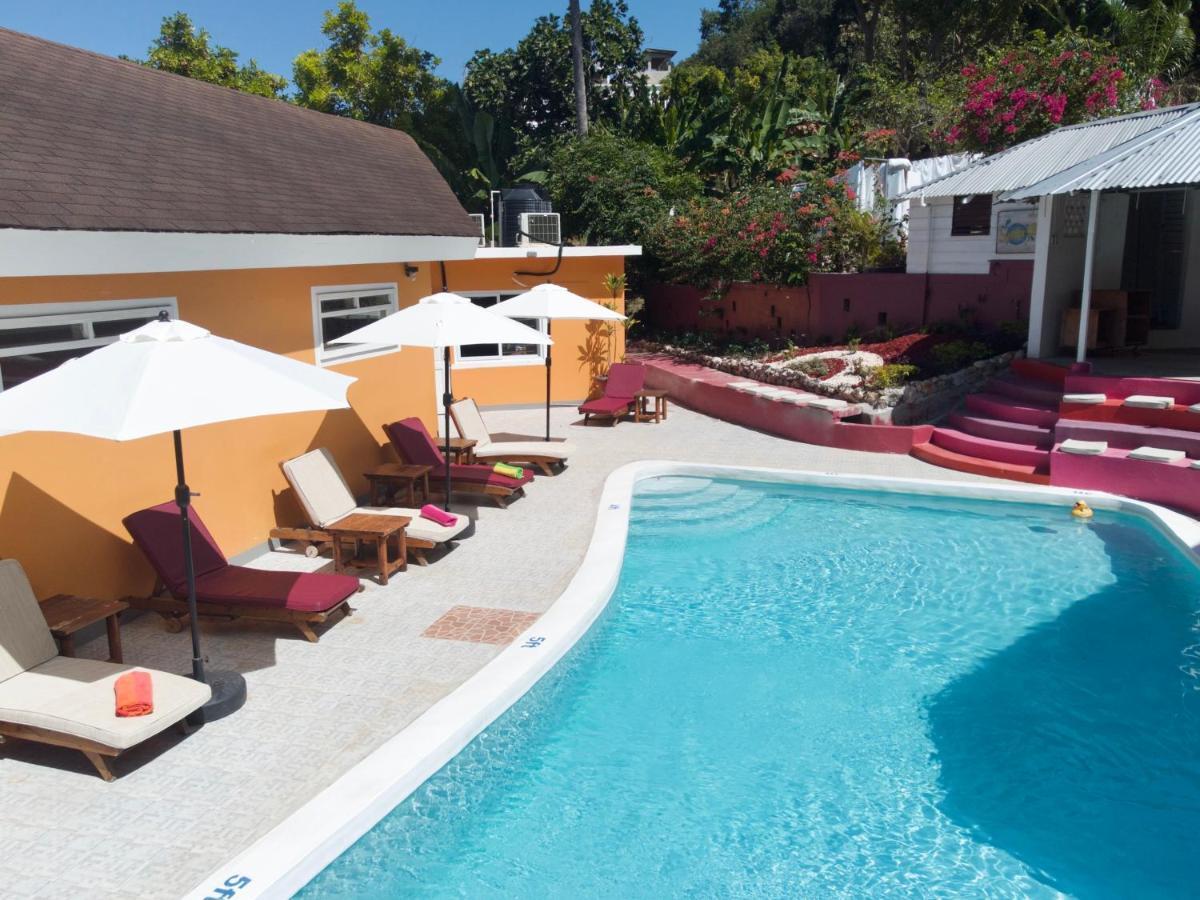 Bed & Breakfast The Blue Orchid *