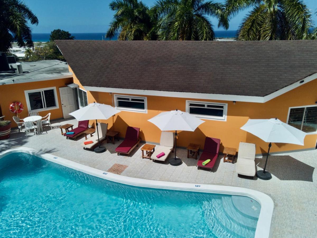 The Blue Orchid Bed & Breakfast *