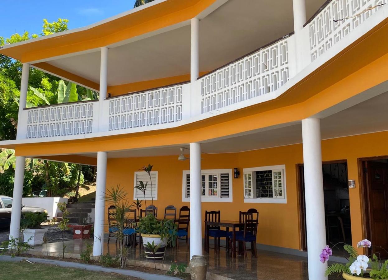 The Blue Orchid * Montego Bay