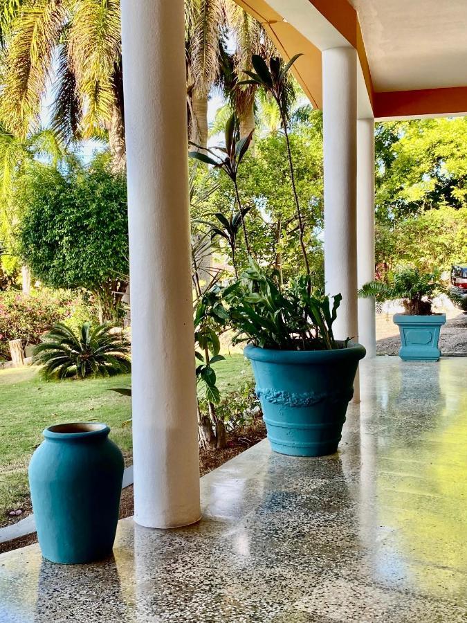Bed & Breakfast The Blue Orchid *
