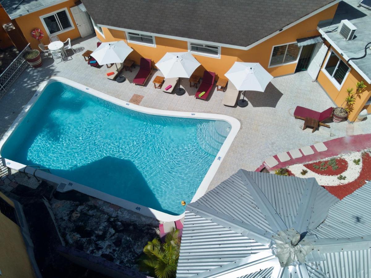 The Blue Orchid Bed & Breakfast *