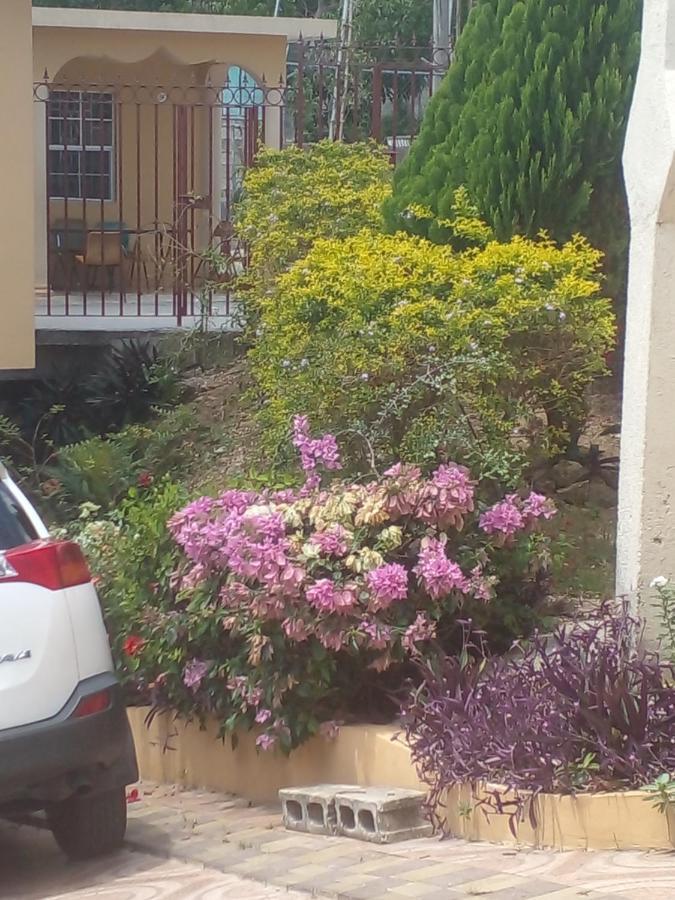 Happy And Comfortable Guest house Montego Bay