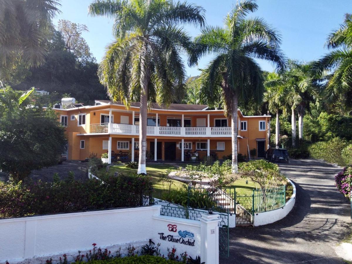 Bed & Breakfast The Blue Orchid *