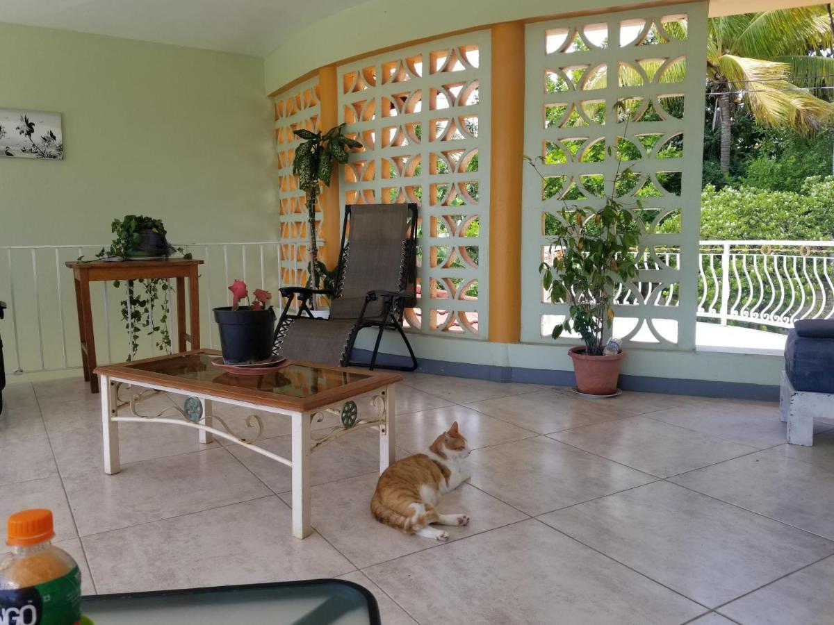 Guest house Chaudhry House Montego Bays- 2nd Floor Montego Bay