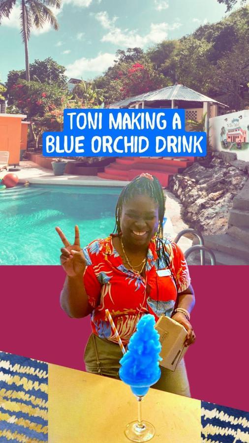 The Blue Orchid *